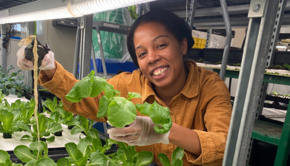 Cultivating a Community to Build a Healthier Bronx Photo